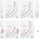 오복동물치과병원 이미지