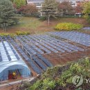 새마을 태양광발전소 이미지