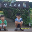 생태터널입구 이미지