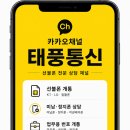 플렉스선불폰