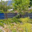 남산면사무소 이미지