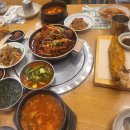 뉴힐링캠프 이미지