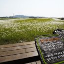 천일염힐링캠프 이미지