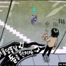 퐁당퐁당 이미지