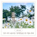 서당초길 | 10월 11월 경주가볼만한곳 서악 도봉서당 구절초축제 아이와 방문후기 및 꿀팁