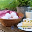서울척척마취통증의학과 이미지