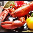 덴포라 | 해운대 바닷가재 맛집 덴포라 풍부한 양과 신선함이 포인트