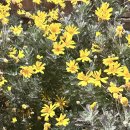 칭구칭구 pc방 | [제주 여행 총정리] 2월 제주도 여행 3박 4일 일정 정리, 제주 한 바퀴 돌며 먹고 다닌 동선 기록