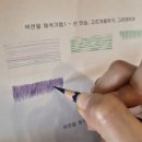 색연필로 그리는 꽃, 보태니컬 아트 | 경기도 광주 경안동 성인 취미미술-색연필 꽃그림 보태니컬아트 수업