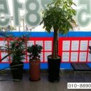 선비공인중개사사무소 이미지