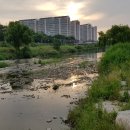 당구장가즈아 이미지