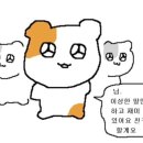 무모먼트 이미지