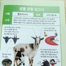 동욱목장 이미지
