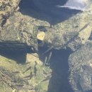 여항보건진료소 이미지