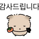 퍼피스프링 강서점 이미지