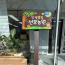 우드퍼블릭 이미지