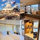 마운틴마트 LC타워점 | 시드니 하버뷰 포시즌스 호텔 시티뷰 객실 수영장 헬스장 솔직 후기