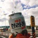 삼다투어