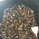 갯바위펜션 이미지