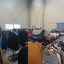 오렌지빈티지 이미지