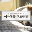 동물보육원평택지부
