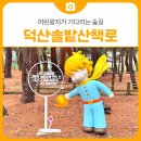 솔밭쉼터 - 영월군 선돌길 46 | 어린왕자가 기다리는 숲길, 삼척 덕산솔밭산책로 방문 후기 | 삼척 가볼만한곳
