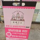 포레그스 이미지