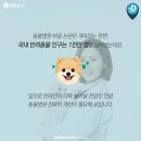 서울동물병원 앞 이미지