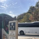 구름타고온선녀 | 에버랜드 할로윈 축제 누구보다 즐기고 온 1인의 후기랄까요~? ଲ༼Ꙩ Ꙩ ଲ༽