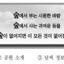 외국어로서의 한국어능력평가론 이미지