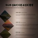 한국차박물관(소리문화공원) | 전남 보성 가볼만한곳 &lt;한국차박물관&gt; &lt;한국차문화공원&gt; &lt;실내정원&gt;