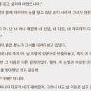 노리튼