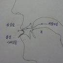 풀피리(草笛) Daum카페