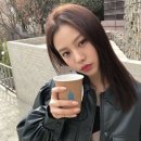 개, 이쁘다 이미지