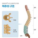 계해정한의원 이미지