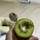 상사보건소 | 계속되는 컨디션 Nienzo,,,,💦+ 남편 진급식🖤, 새로운 집으로 이사 준비🏠