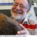 운석농장 이미지