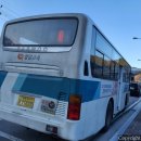 강원 74자 1009 이미지