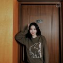 노르디스크 이미지