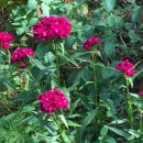 관악산길 이미지