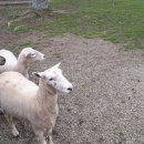 소모아농장 이미지