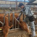 보은농장2 이미지