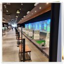 종합운동장 골프연습장 이미지