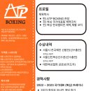 ATP Boxing 이미지