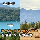 고산농장 | 타이중 근교 여행 추천 일월담 칭징농장 일일 투어 후기