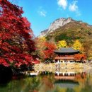 백담사 - 1362 | 백담사