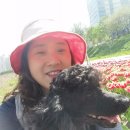 행복한깜씨