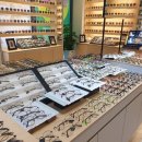 봄 안경원 이미지