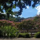 고려동 회관 이미지