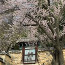 설봉아름드리작은도서관 | [제철행복] 경칩 - 밀양여행 : 밀양향교,볕뉘,금시당,영남루